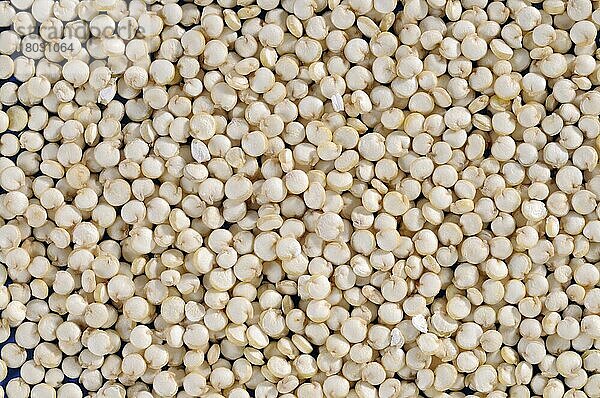 Quinoa  Inkareis  Reismelde  Inkakorn  Reisspinat  Andenhirse (Chenopodium quinoa)  Perureis
