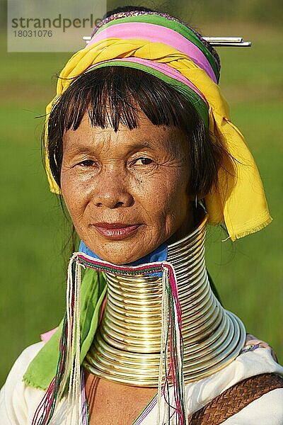 Kopfporträt einer Frau aus Kayan Lahwi mit Messinghalswicklung und traditioneller Kleidung  Pan Pet Region  Kayah State  Myanmar  Asien