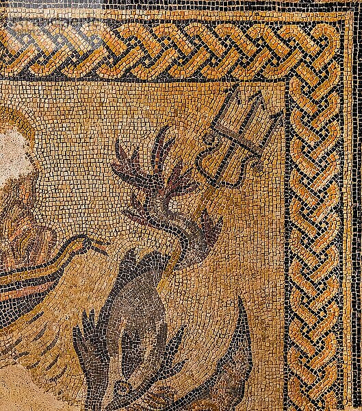 Mosaik aus der römischen Periode  1. -2. Jhd. AD  Via San Rocchino Haus  Santa Giulia  Stadtmuseum  Brescia  Lombardei  Italien  Brescia  Lombbardei  Italien  Europa