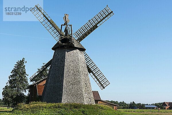 Windmühle  Bierde  Petershagen  Minden-Lübbecke  Ostwestfalen-Lippe  Nordrhein-Westfalen  Deutschland  Europa