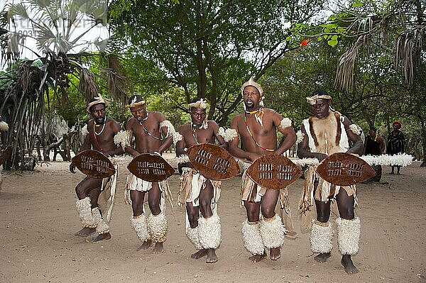 Männer  DumaZulu  Duma Zulu  traditionelles Dorf  Museumsdorf  KwaZulu Natal  Südafrika  Krieger