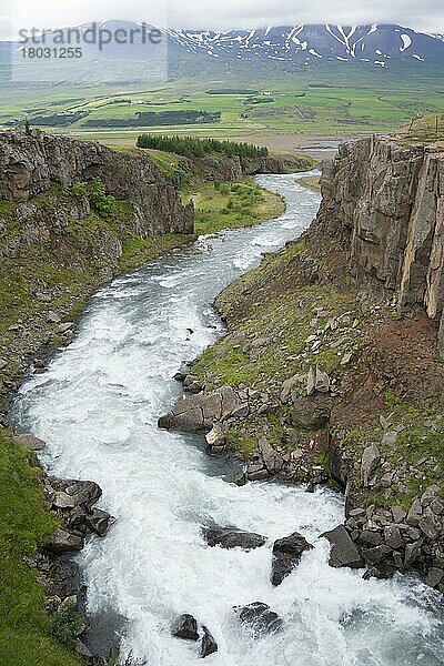 Schlucht im Eyjafjardara  bei Mödruvellir  Island  Europa