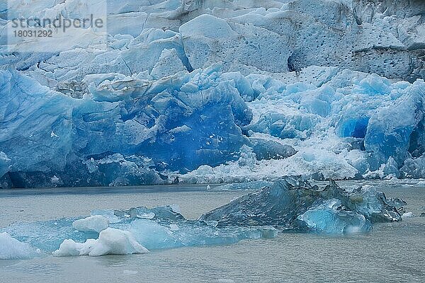 Grey Gletscher  der in den See fließt  Lago Grey  Torres del Paine National Park  Chilenisches Patagonien  Chile  Südamerika