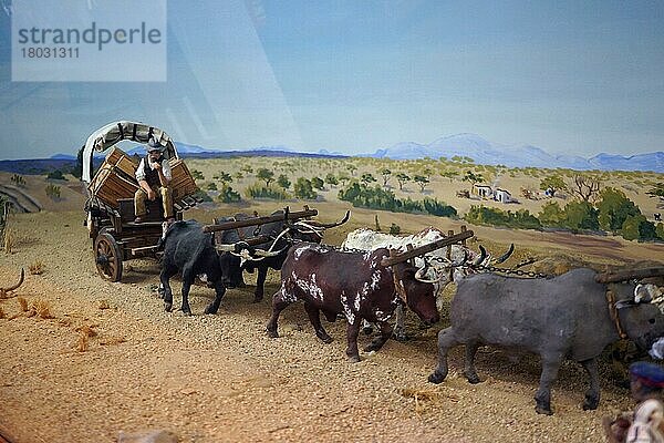 Modell eines Ochsenwagen  Museum Swakopmund  Swakopmund  Republik Namibia