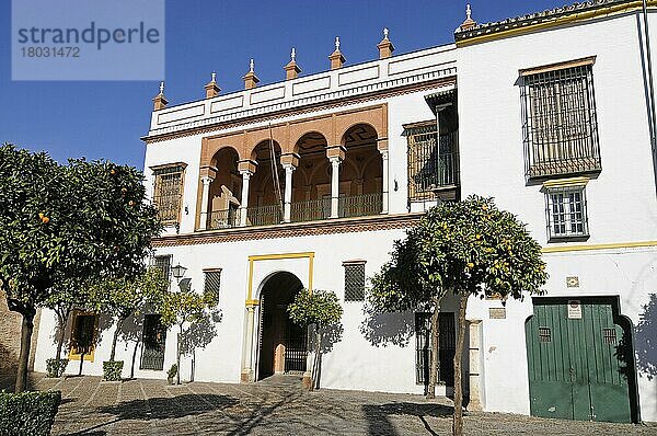 Casa de Pilatos  Stadtpalast  Sevilla  Provinz Sevilla  Andalusien  Spanien  Europa