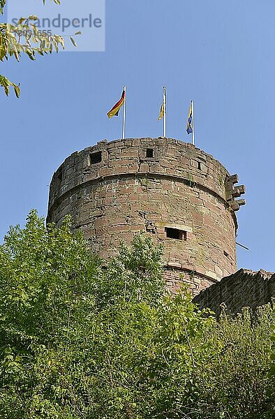 Burg  Freudenberg  Baden-Württemberg  Deutschland  Europa