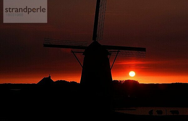 Windmill at sunset  Het Noorden  Texel  Netherlands  Windmühle bei Sonnenuntergang  Niederlande  Silhouette  Stimmung  mood  Europa  Querformat  horizontal  Europa