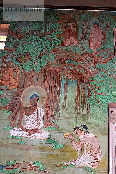 Gemälde  Mulagandhakuti Vihara  buddhistischer Tempel  Sarnath  Uttar Pradesh  Indien  Asien