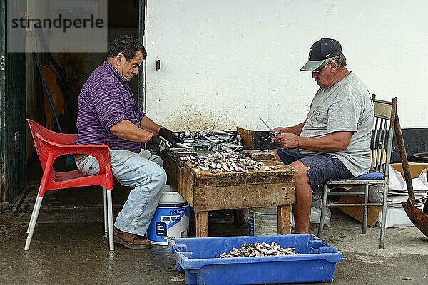 Menschen verarbeiten Fisch  Sao Mateus de Calheta aus  Terceira  Azoren  Portugal  Europa