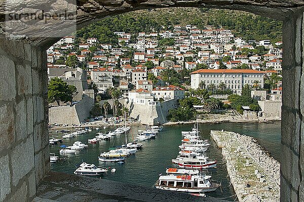 Hafen  Altstadt  Neustadt  Dubrovnik  Dalmatien  Kroatien  Europa
