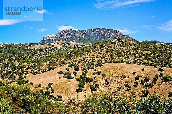 Berglandschaft bei Su Tempiesu  Sardinien  Italien  Europa