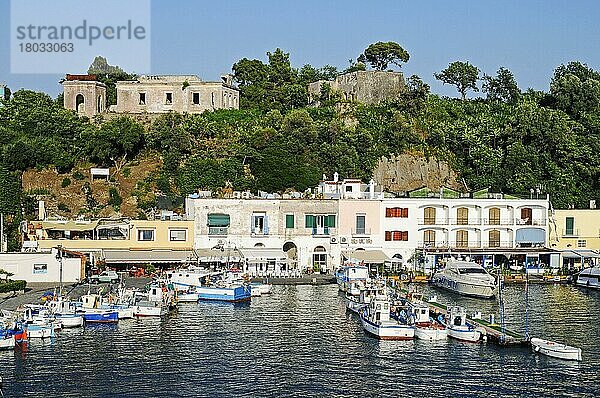 Ischia Porto  Hafen  Insel Ischia  Golf von Neapel  Kampanien  Italien  Europa