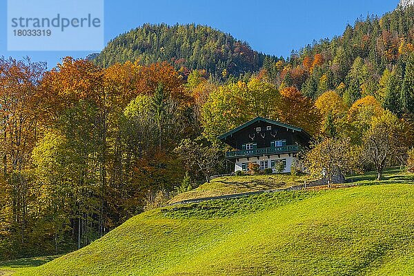 Herbststimmung am Hintersee  Ramsau  Berchtesgadener Land  Bayern  Deutschland  Europa