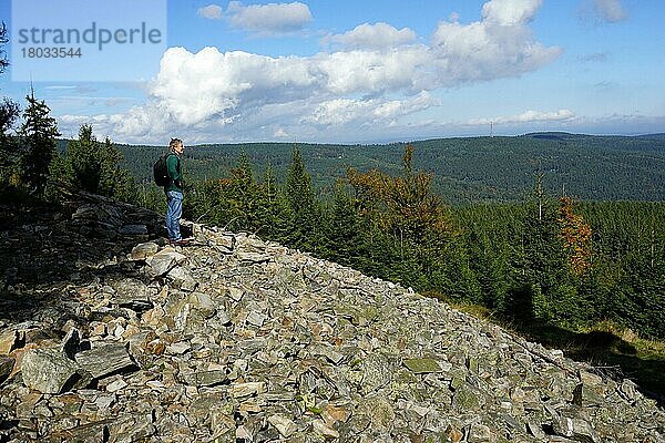 Wallanlage der Kelten  Altkönig  Taunus  Hessen