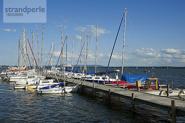 Boote an Bootssteg  Mardorf  Neustadt am Rübenberge  Steinhuder Meer  Niedersachsen  Deutschland  Europa