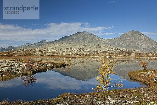 See vor dem Berg Stygghoin im Herbst  Døråldalen im Rondane National Park  Oppland  Norwegen  Europa