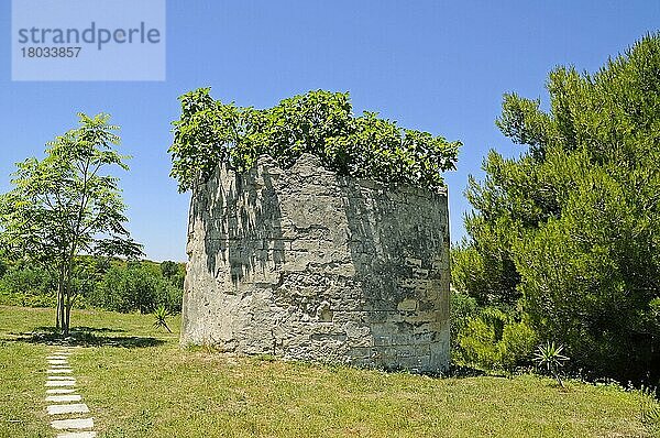 Hypogäum  Torre Pinta  unteridische  historische  Grabstätte  Otranto  Provinz Lecce  Apulien  Italien  Europa