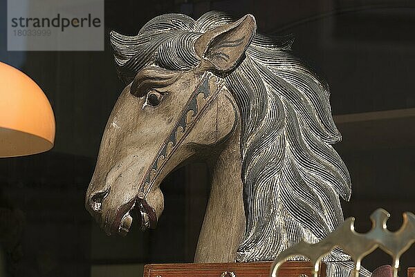 Pferdekopf von einem alten Schaukelpferd in einem Schaufenster  Bayern  Deutschland  Europa