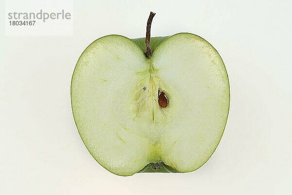 Apfel  Granny Smith  Studioaufnahme