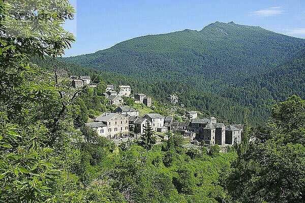 Morosaglia  Korsika  Frankreich  Europa