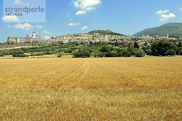 Assisi  Basilika San Francesco  Umbrien  Italien  Europa