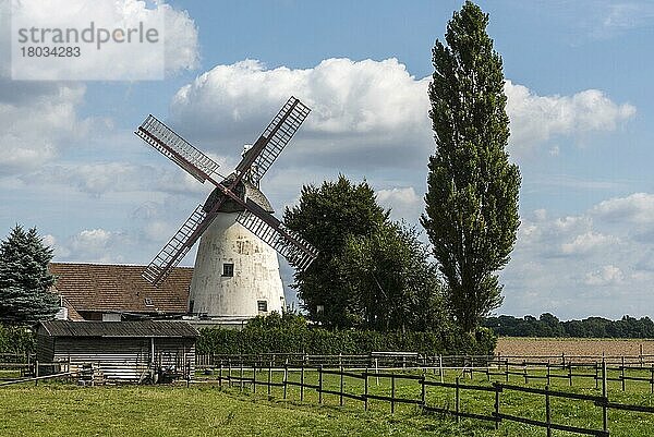 Windmühle  Stemmer  Minden-Lübbecke  Ostwestfalen-Lippe  Nordrhein-Westfalen  Deutschland  Europa