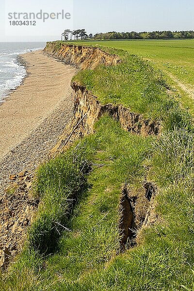 Weiche Klippen  rasche Küstenerosion an der Nordseeküste  Küste bei Bawdsey  Suffolk  England  Uk