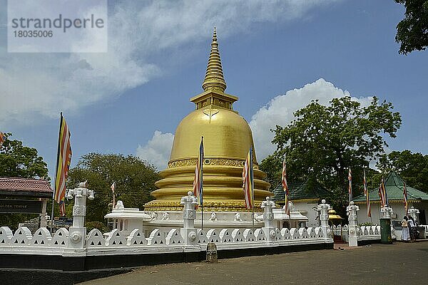 Stupa  Dambulla  Sri Lanka  Asien