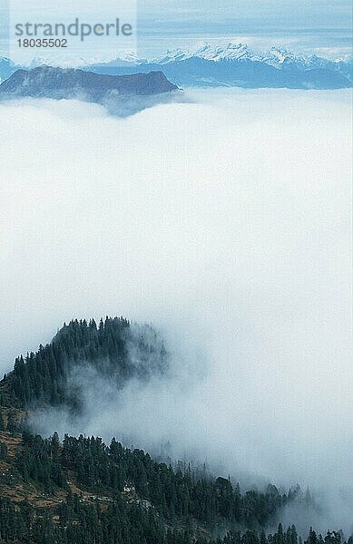 Wolken über dem Berner Oberland (Nebel) (neblig) (fog) (mist) (Übersicht) (overview) (Europa) (Landschaften) (landscapes) (Gebirge) (Berge) (mountains)  Blick vom Niederhorn  die Alpen  Schweiz  Europa