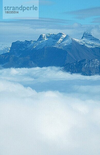Alpengipfel über den Wolken  Berner Oberland (Uebersicht) (overview) (Europa) (Landschaften) (landscapes) (Gebirge) (Berge) (mountains)  Blick vom Niederhorn  Schweiz  Europa