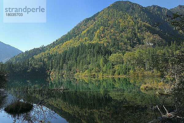 Pfeilbambussee  Spiegelungen im Wasser  Jiuzhaigou-Nationalpark  Provinz Sichuan  China  Unesco-Welterbe  Asien