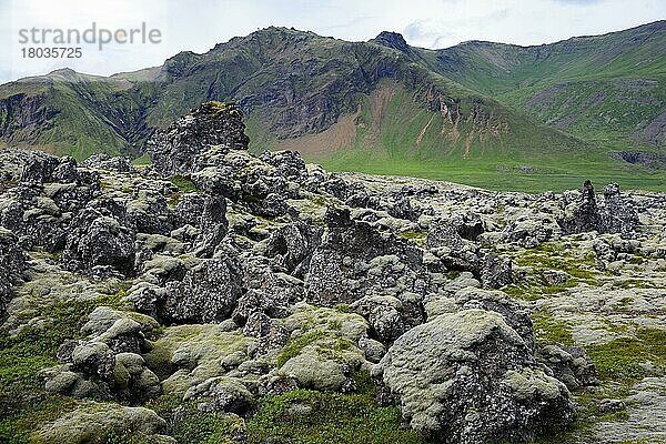 Vulkanlandschaft  Berserkjahraun  Halbinsel Snäfellsnes  Island  Sn?fellsnes  Europa