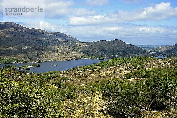 Landschaft  Ladies view  Killarney Nationalpark  Irland  Großbritannien  Europa