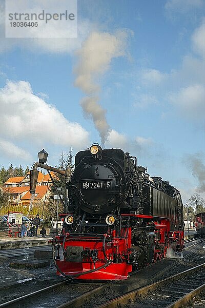 Dampfeisenbahn  Schmalspurbahn  Drei-Annen-Hohne  Harz  Sachsen-Anhalt  Deutschland  Brockenbahn  Europa
