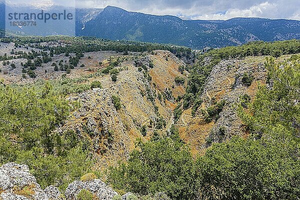 Aradena-Schlucht  Kreta  Griechenland  Europa