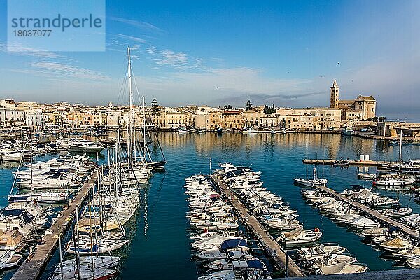 Blick auf Yachthafen und Altstadt  Trani  Apulien  Trani  Apulien  Italien  Europa