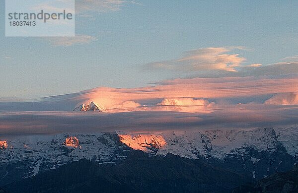 Alpengipfel im Abendlicht (Eiger und Mönch)  Berner Oberland (Europa) (Landschaften) (landscapes) (Gebirge) (Berge) (mountains) (Querformat) (horizontal)  Blick vom Niederhorn  Schweiz  Europa