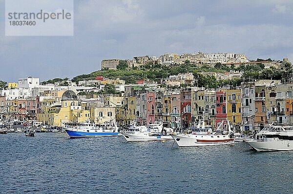 Porto di Marina Grande  Hafen  Stadtviertel Terra Murata  Insel Procida  Golf von Neapel  Kampanien  Süditalien  Italien  Europa