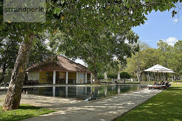 Schwimmbad  Hotel Gimanhala  Dambulla  Sri Lanka  Asien