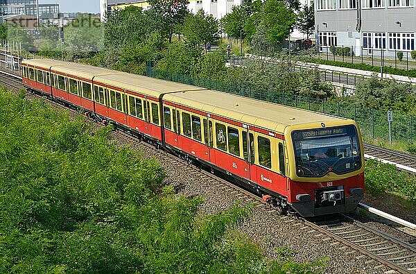 S-Bahn  Schöneberg  Berlin  Deutschland  Europa