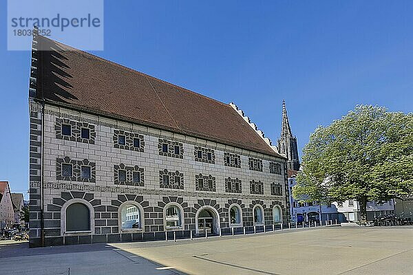 Kornhaus  ehemaliger Kornspeicher aus der Renaissance  hinten Westturm des Ulmer Münsters  Ulm  Baden-Württemberg  Deutschland  Europa
