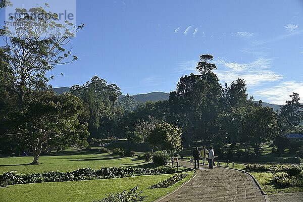 Victoria Park  Nuwara Eliya  Sri Lanka  Asien