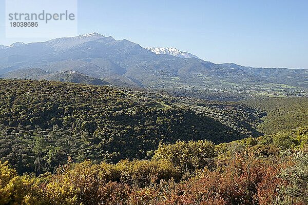 Berge bei Halandritsa  Panachaikon-Gebirge  Achaia  Peloponnes  Griechenland  Chalandritsa  Europa