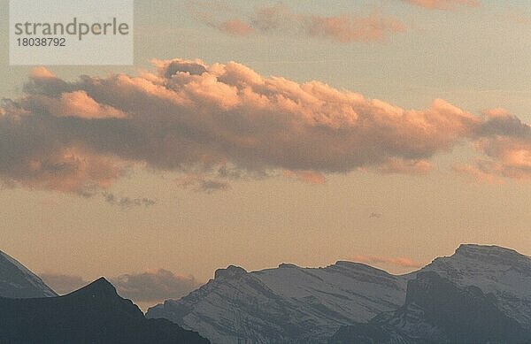 Alpen im Abendlicht  Blick vom Niederhorn  Berner Oberland  Schweiz  Europa