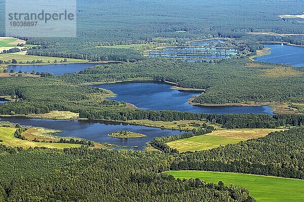 Aerial view at Caarpsee  Lake Caarp  Müritz National Park  Müritz Nationalpark  Mecklenburg-Western Pomerania