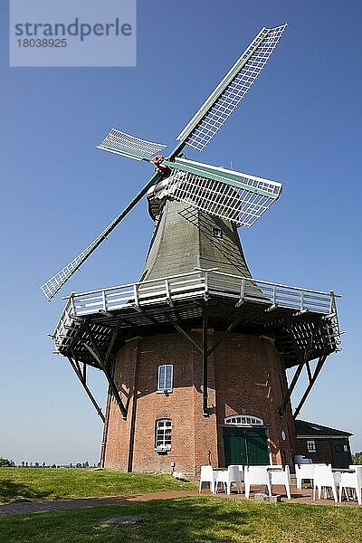 Windmühle  Galerieholländer  Greetsiel  Krummhörn  Ostfriesland  Niedersachsen  Deutschland  Europa