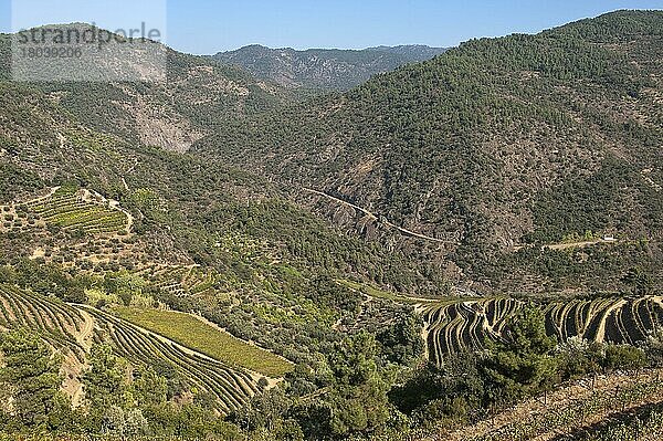 Alto Douro Weinregion  Porto-Weinberge  Alto Douro  Tras-os-Montes  Portugal  Portwein-Weinberge  Europa