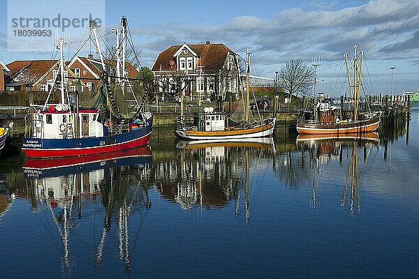 Krabbenkutter im Hafen  Neuharlingersiel  Niedersachsen  Deuschland