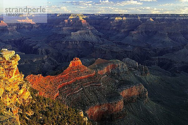 South Rim  Yaki Point  Grand Canyon Nationalpark  Südrand  Arizona  USA  Morgenlicht  Nordamerika