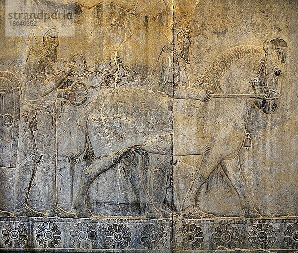 Relief-Detail der Delegation der Voelkerschaften  die Darius Geschenke bringen an der Treppe des Palastes Apadana  Persepolis  Persepolis  Iran
